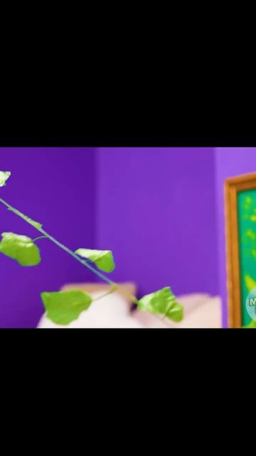 The Disco Has Started