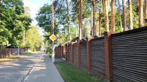 Иду на работу мимо орешника