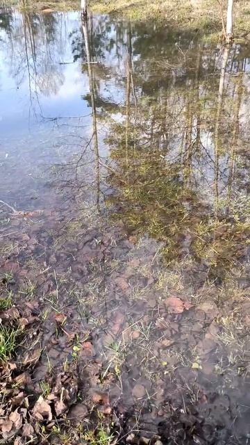 Зеркало воды смотреть онлайн