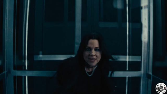 Evanescence - Who Will You Follow