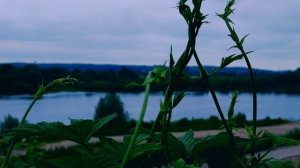 Мой новый фильм « Утренняя грусть» ( 15 июня)