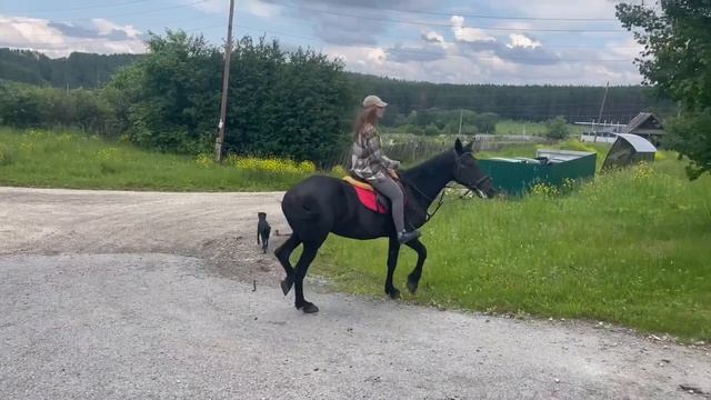 Нормандия видео