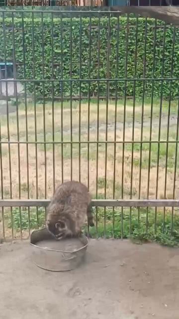 1000000217.mp4