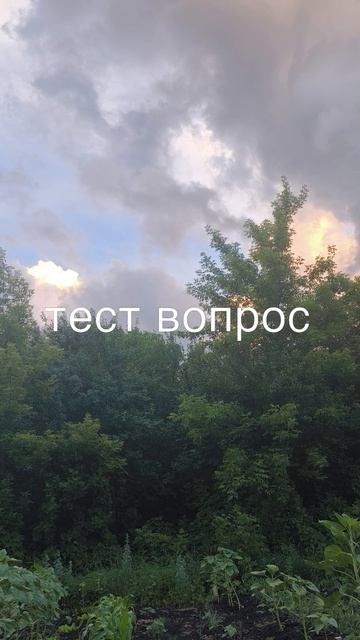 2026-06-15 смотреть онлайн