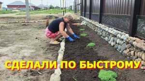 111. Выкладываем камушки, случайные 20 кустов хризантем
