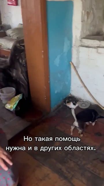 Как важно знать: ты не один.