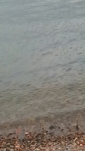 VID_20260613_165839.mp4 смотреть онлайн