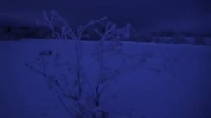 d2s1 - 5469 (перезалив)