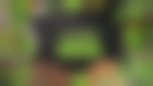 5.4 Дизайн видео