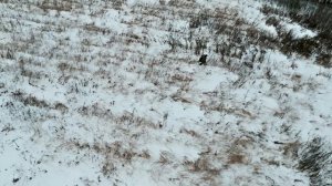 Красное Дерево - Дроны