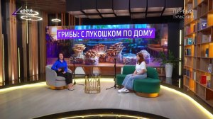 Грибы: с лукошком по дому. Интервью с биологом Анастасией Третьяковой