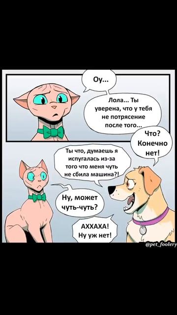 Спокойный день Вринклза) Пикси и Брут