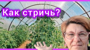 Это ни-ког-да не закончится! 🤦Стрижка томатов, подробная и пошагово💪🤗