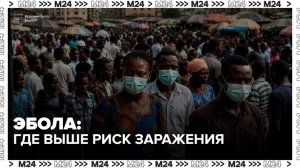 Врач рассказал, где выше вероятность распространения Эболы - Москва 24