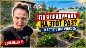 Заброшенная дача: GhatGPT дал советы по восстановлению своими руками