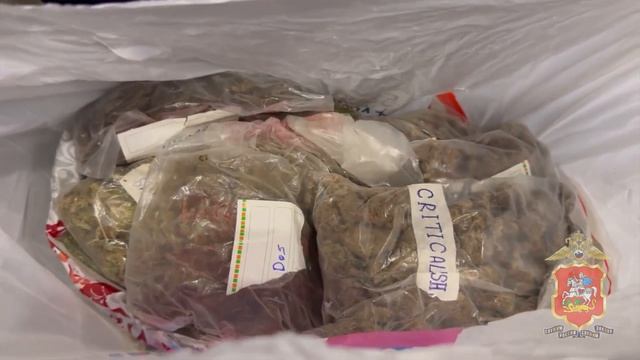 В Подмосковье заключён под стражу местный житель, хранивший крупную партию марихуаны в холодильнике смотреть онлайн