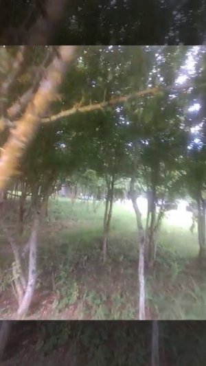 Бе бе белка от белок '»(»'/@(