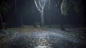 Видео против стресса 🌧️ Уютный дождь, белый шум и глубокий сон ASMR