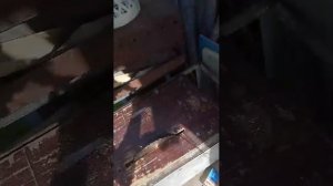 олим