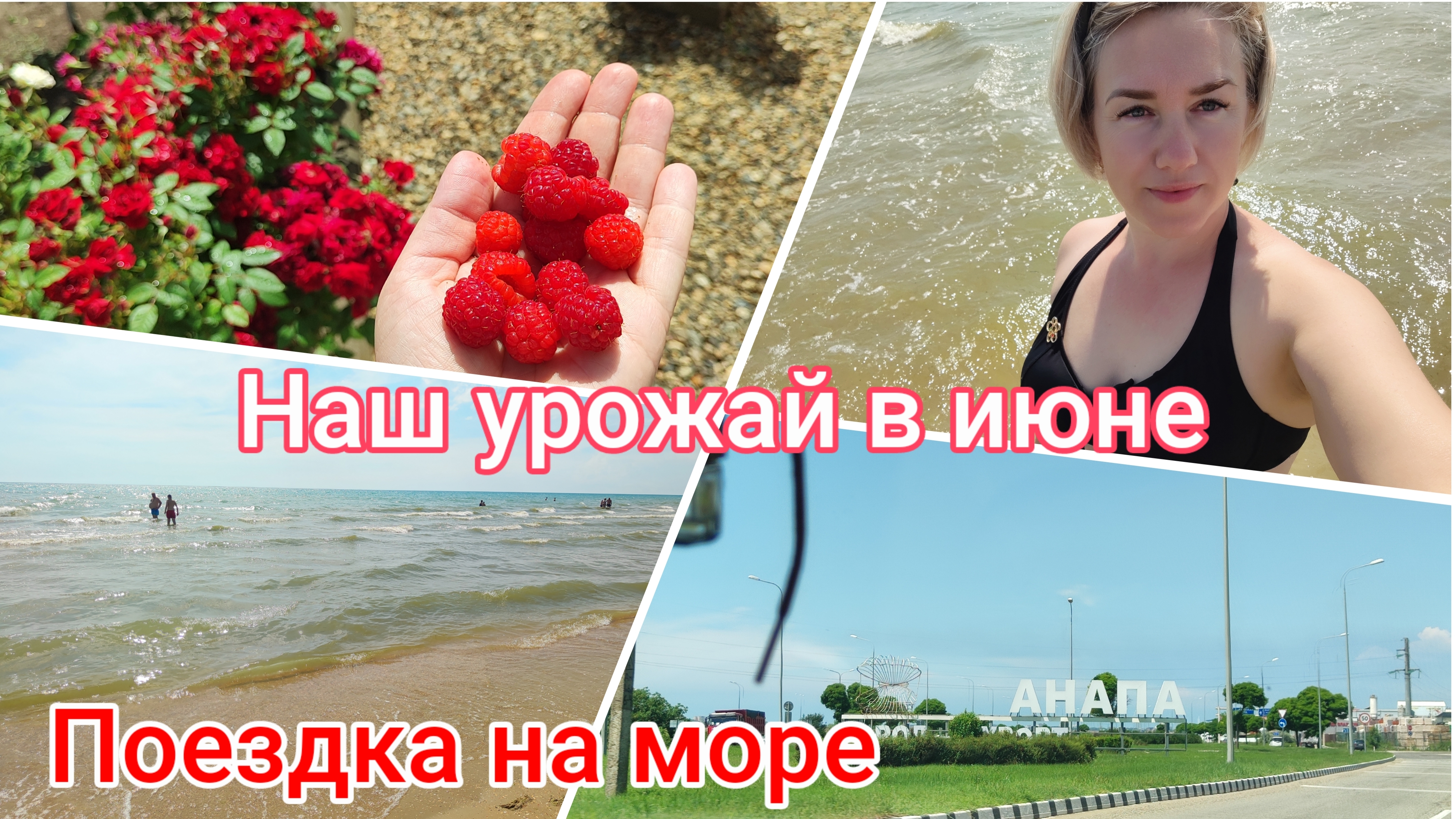 Как мы живём после переезда на юг🌞: наш урожай в июне  поездка на море 🌊
