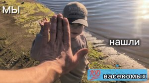 Пока ждём игрушки .НАШЛИ 100 НАСЕКОМЫХ! Наша самая масштабная прогулка в парк. 🪳🪰🐝🐞🐛🪱🪲🐜