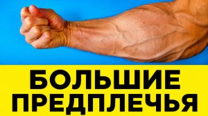 ВСЕГО 5 Упражнений для Предплечий | ДОМА БЕЗ ОБОРУДОВАНИЯ