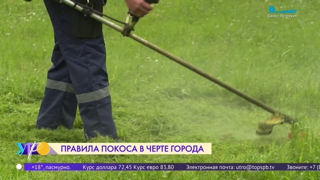 Правила покоса травы в городской черте