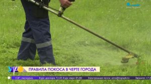Правила покоса травы в городской черте