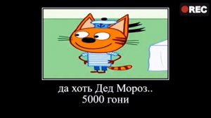 ТРИ КОТА 😹😻😾   ПОЛНАЯ РЖАКА 🤣 😄попробуй не засмеяться