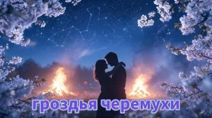 Гроздья черёмухи