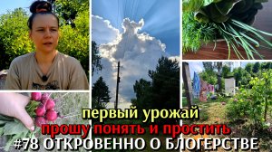 #78 первый урожай / откровенно о блогерстве / прощу понять и простить, но я устала