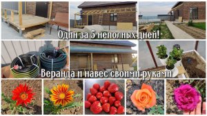 Веранда и навес своими руками. Один за 5 неполных дней! А ураган был совсем рядом…