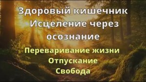Психосоматика ЖКТ*Обида*Тревога и Страхи*Аффирмации*Саблиминал