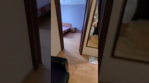 ИЩУ! И КАК ВАМ? В ОСИНОВОЙ РОЩЕ!