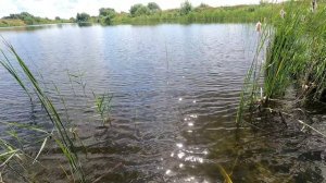 Налазился Я конечно от души 🤣🤣🤣 Рыбалка кастинговой сеткой 6м. Погодка, водичка, лето 😁👍🔥