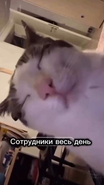 Наталья Зарецкая