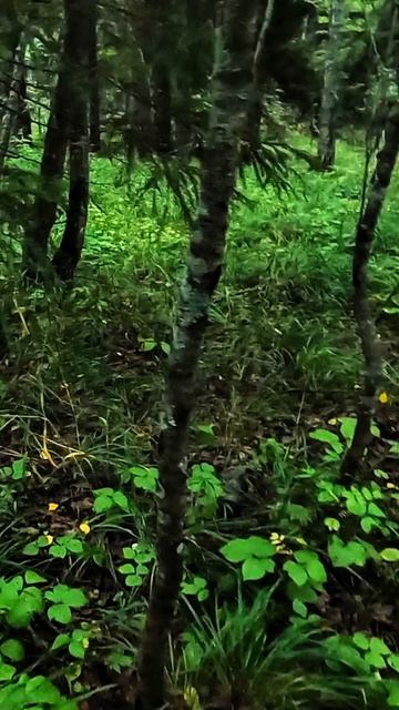 Красавчики! смотреть онлайн