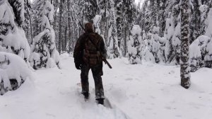 Живу в таёжной избе,Добыл мяса, выставляю капканы