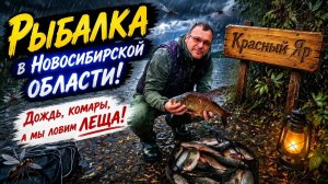 Рыбалка в Новосибирской области на фидер. Красный Яр...