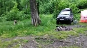 Авто многодневка 11. Третьи сутки в пути.