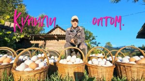 Купили оптом.