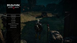 The Witcher 3.