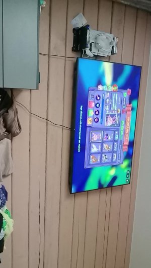 Драгон эдвенчарс