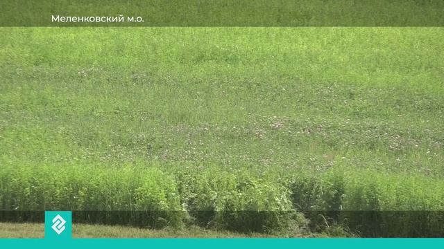 Новости Владимира и Владимирской области 16 июня 2026 года. Дневной выпуск