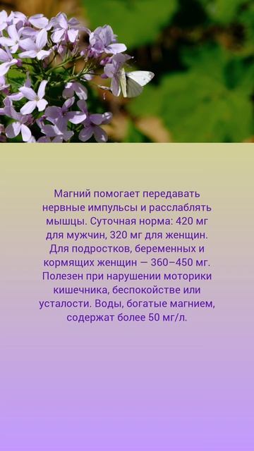 Магний — ключ к здоровью 🤗🌺🌿 смотреть онлайн