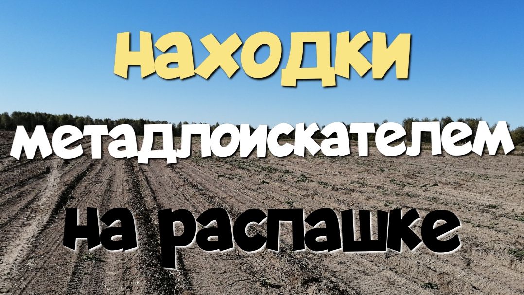 Находки металлоискателем на распашке. Поиск с ЭКВИНОКС 800.