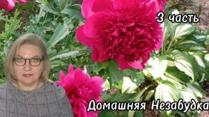 3 часть. ТЕХНАРЬ Гаврила ваши БАЛЕТЫ не любит🤪❗️