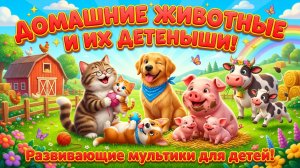 Домашние животные и их детеныши! Развивающие мультики для детей!