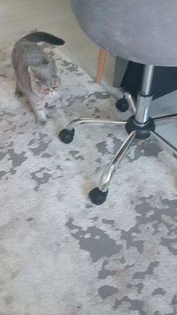 Бетти смотреть онлайн