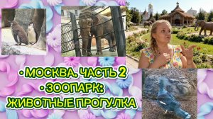 Москва, часть 2: мы в зоопарке! Животные, улыбки и хорошая компания. Гуляем и любуемся.